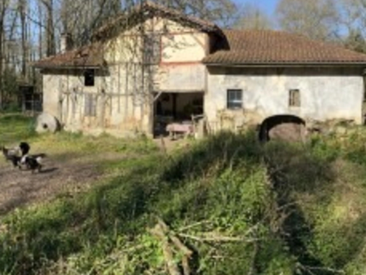 Moulin 7 pièces avec chênaie d'environ 6 hectares