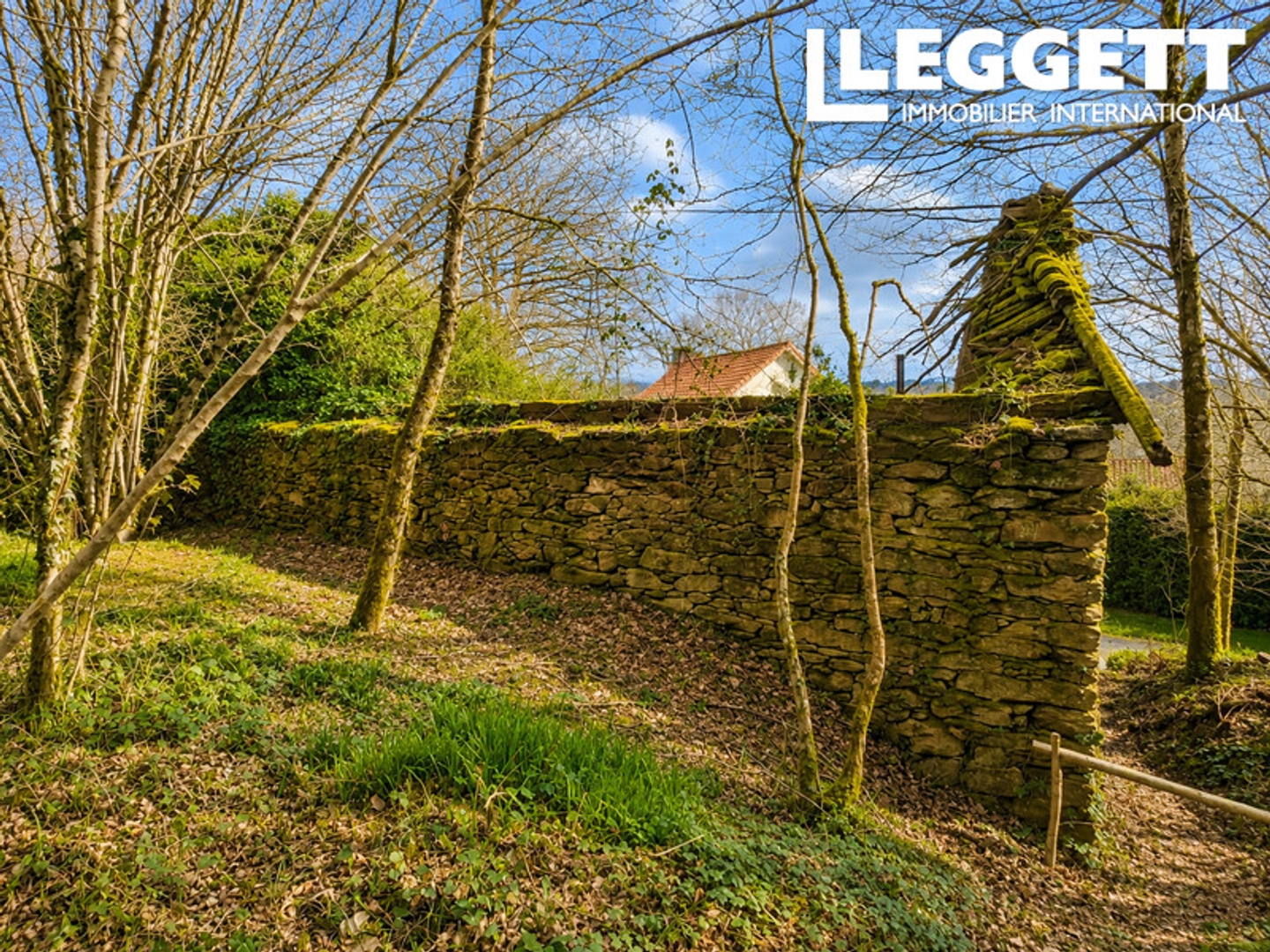 Terrain à vendre - 11625m2 - Dournazac (87230)