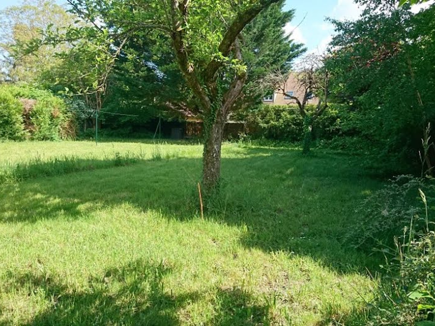 Terrain 370 m²