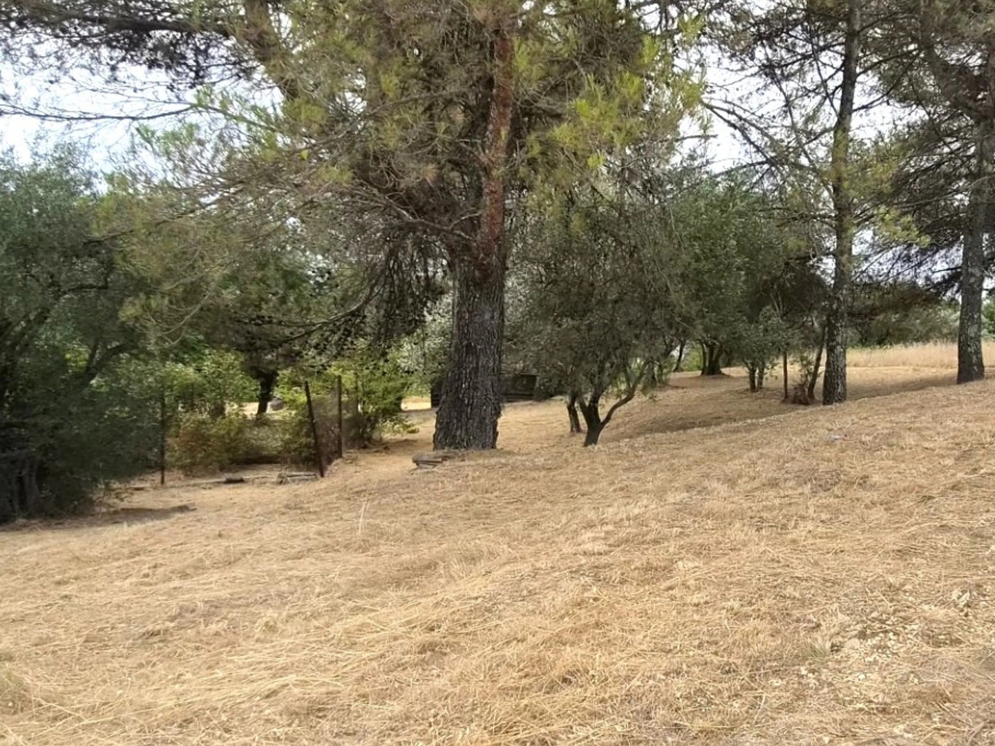 Terrain à vendre - 1521m2 - Alès (30100)