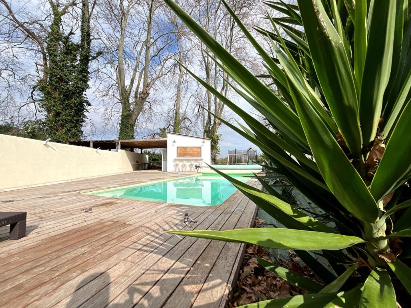 Maison à vendre - 5 pièces - 200m2 - Saint-Cyprien (66750)