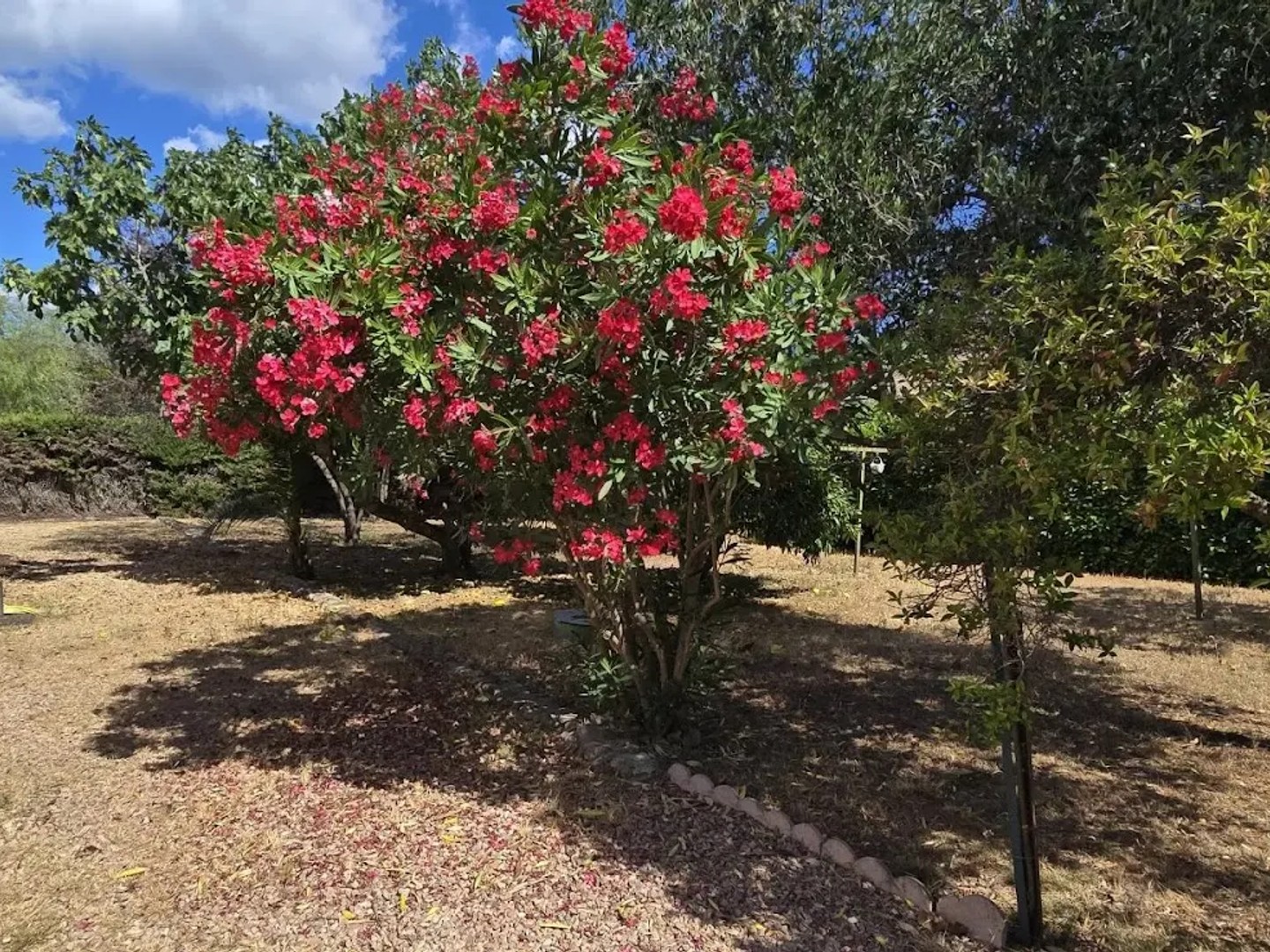 Villa 5 pièces 130 m²