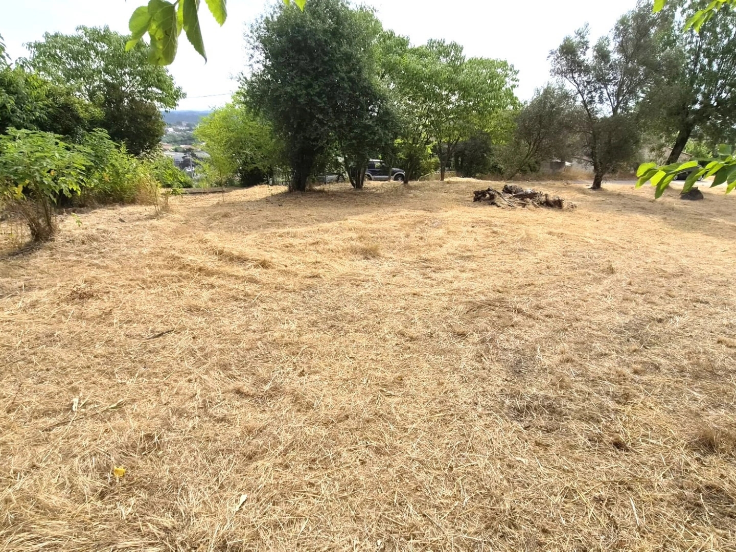 Terrain 1976 m²