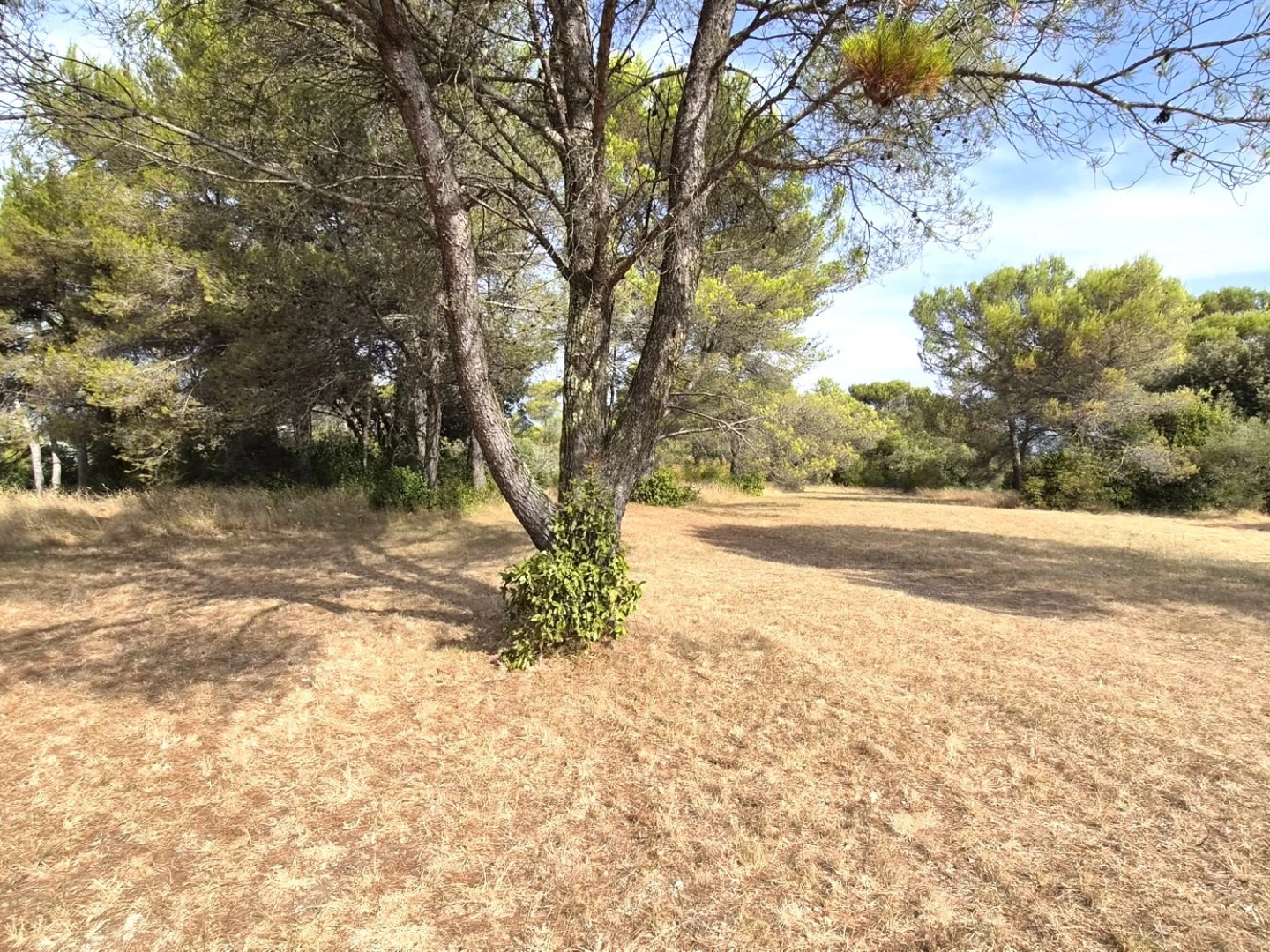 Terrain à vendre - 1976m2 - Alès (30100)