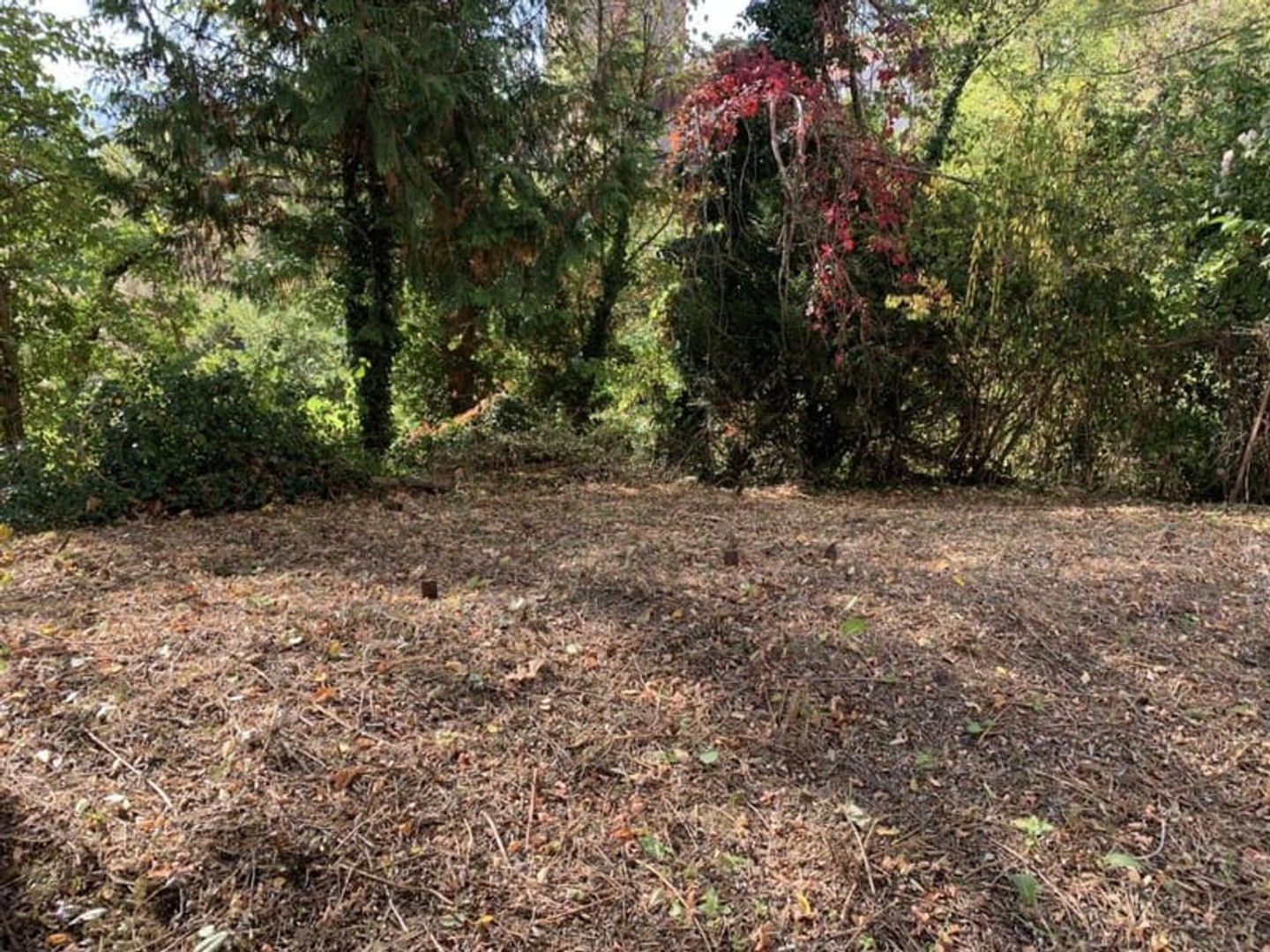 Immeuble à vendre - 8 pièces - 200m2 - Thiers (63300)