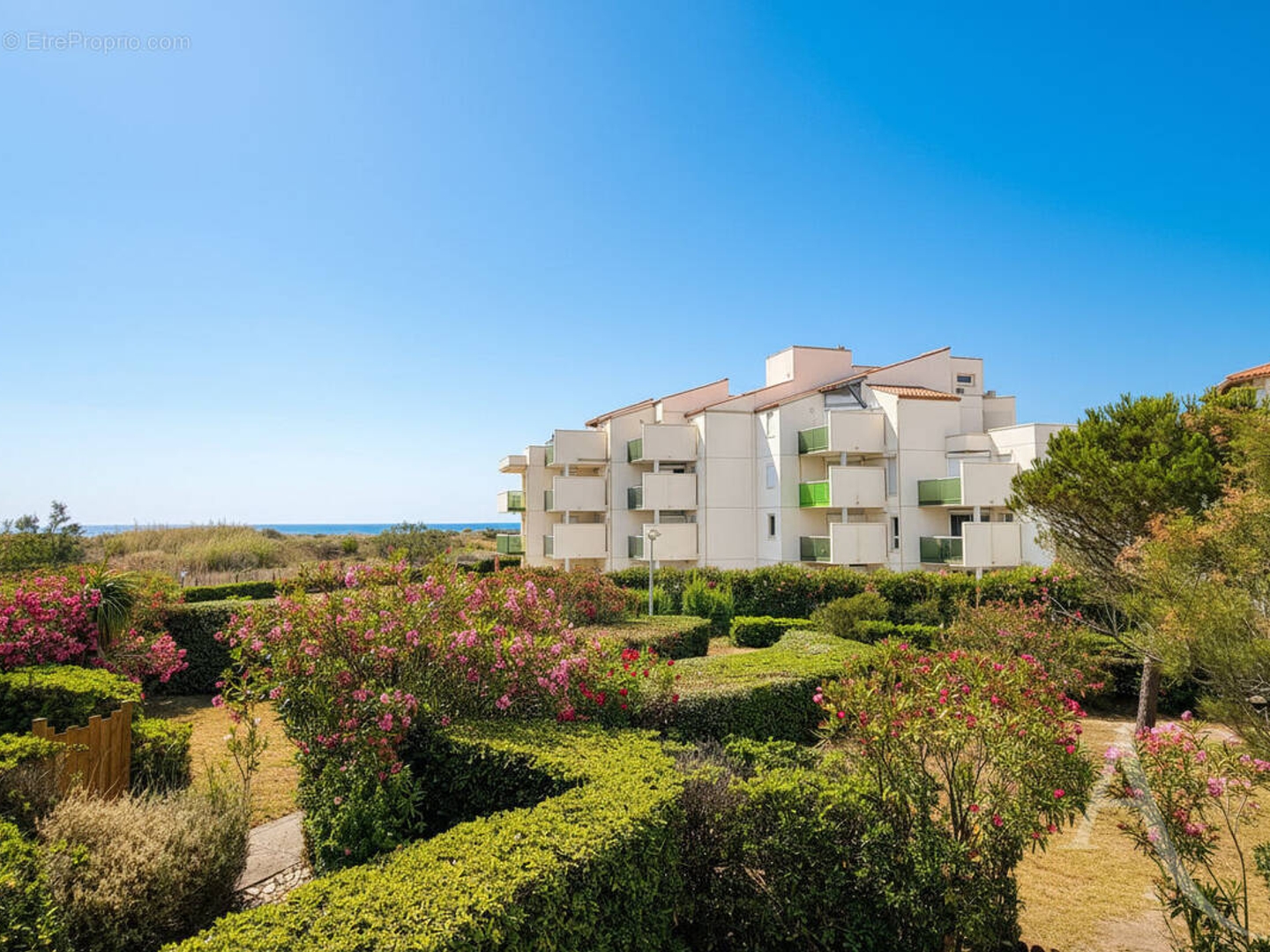Appartement bord de plage Saint Cyprien - vue mer