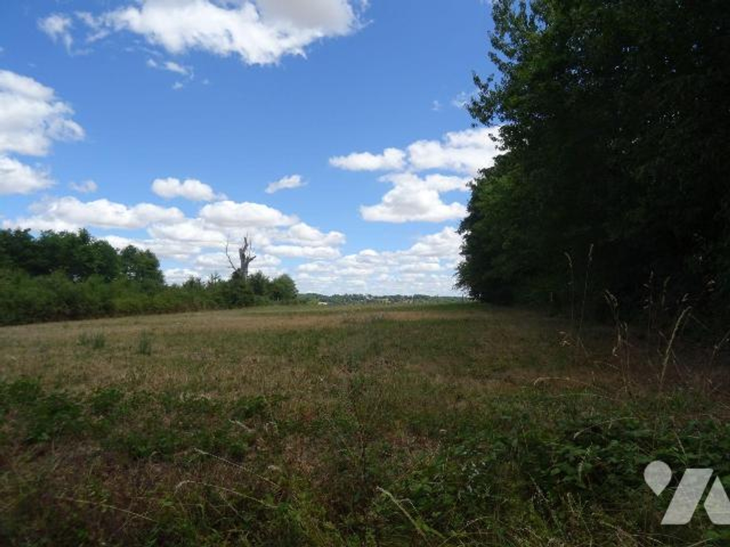 Terrain à vendre - 1680m2 - La Chapelle-Moulière (86210)