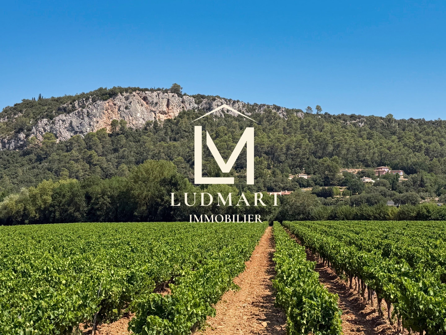 Au coeur de la Provence, un domaine où patrimoine, vignoble e