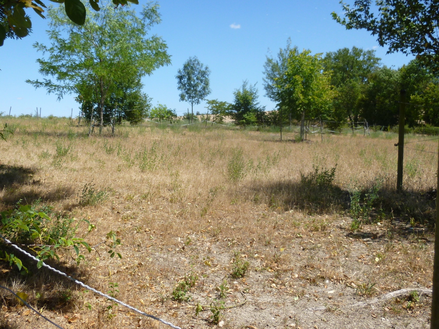 Terrain 4247 m²