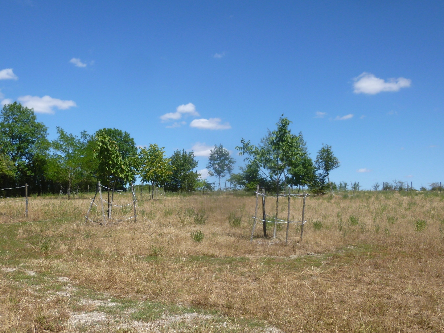 Terrain à vendre - 4247m2 - Saint-Loup (58200)