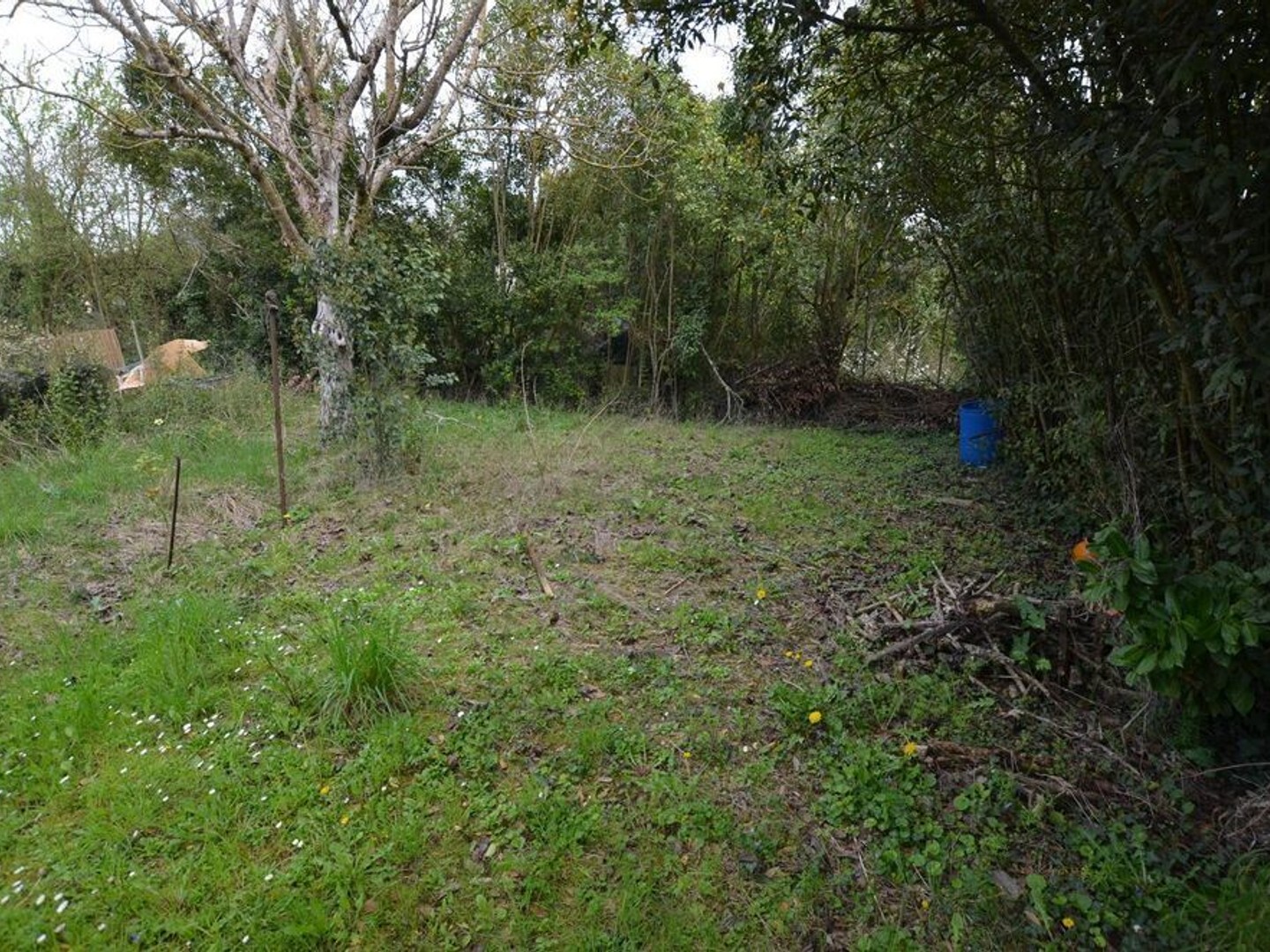 Maison à vendre - 6 pièces - 92m2 - Vic-Fezensac (32190)