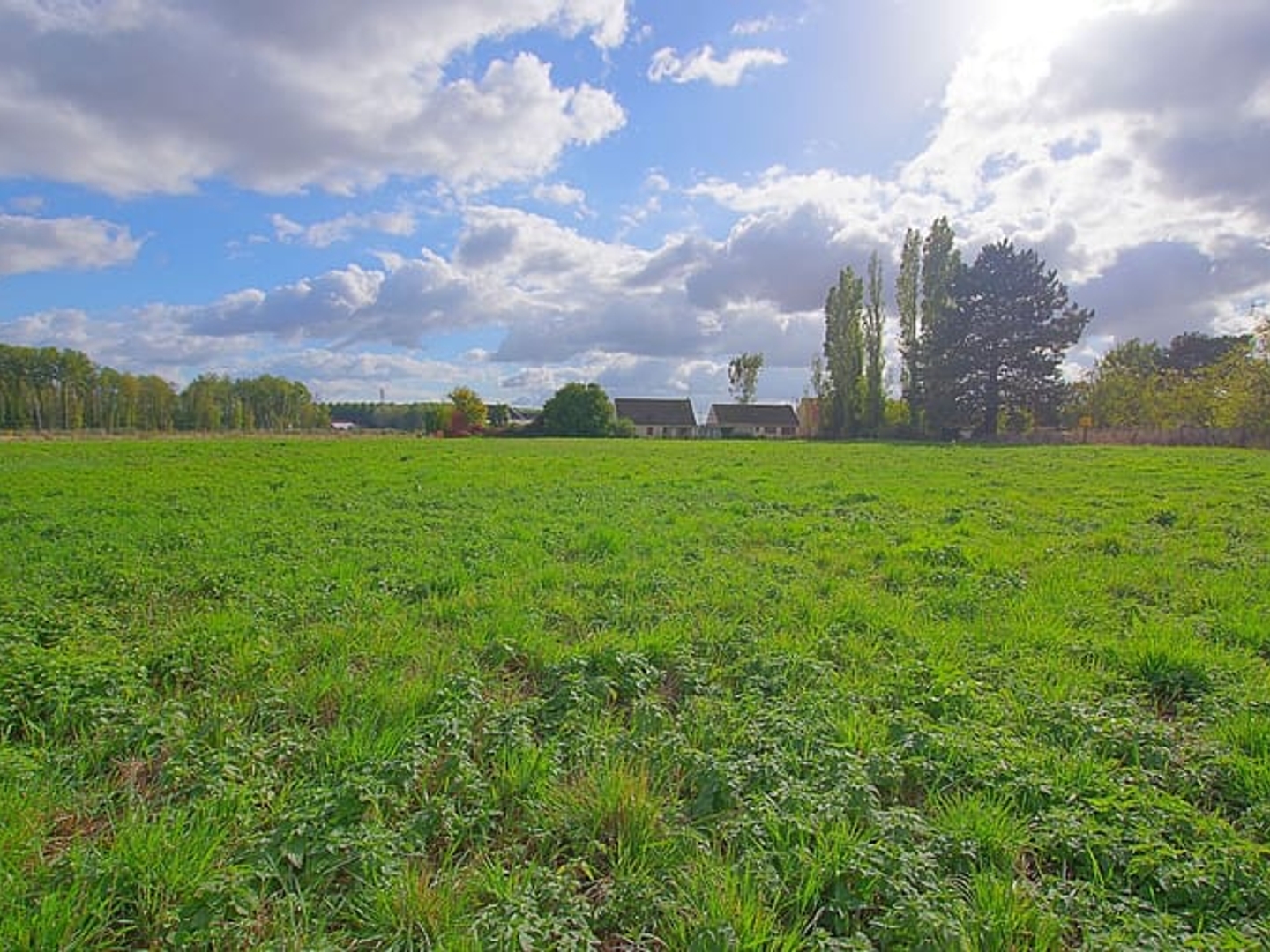 Terrain à vendre - 7621m2 - Brouchy (80400)