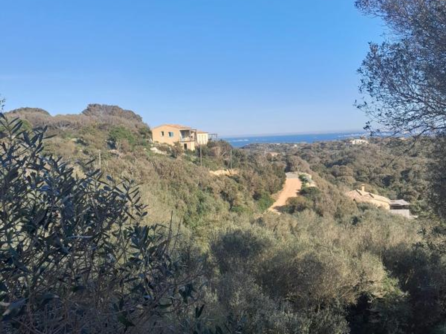 Maison à vendre - 10 pièces - 318m2 - Bonifacio (20169)
