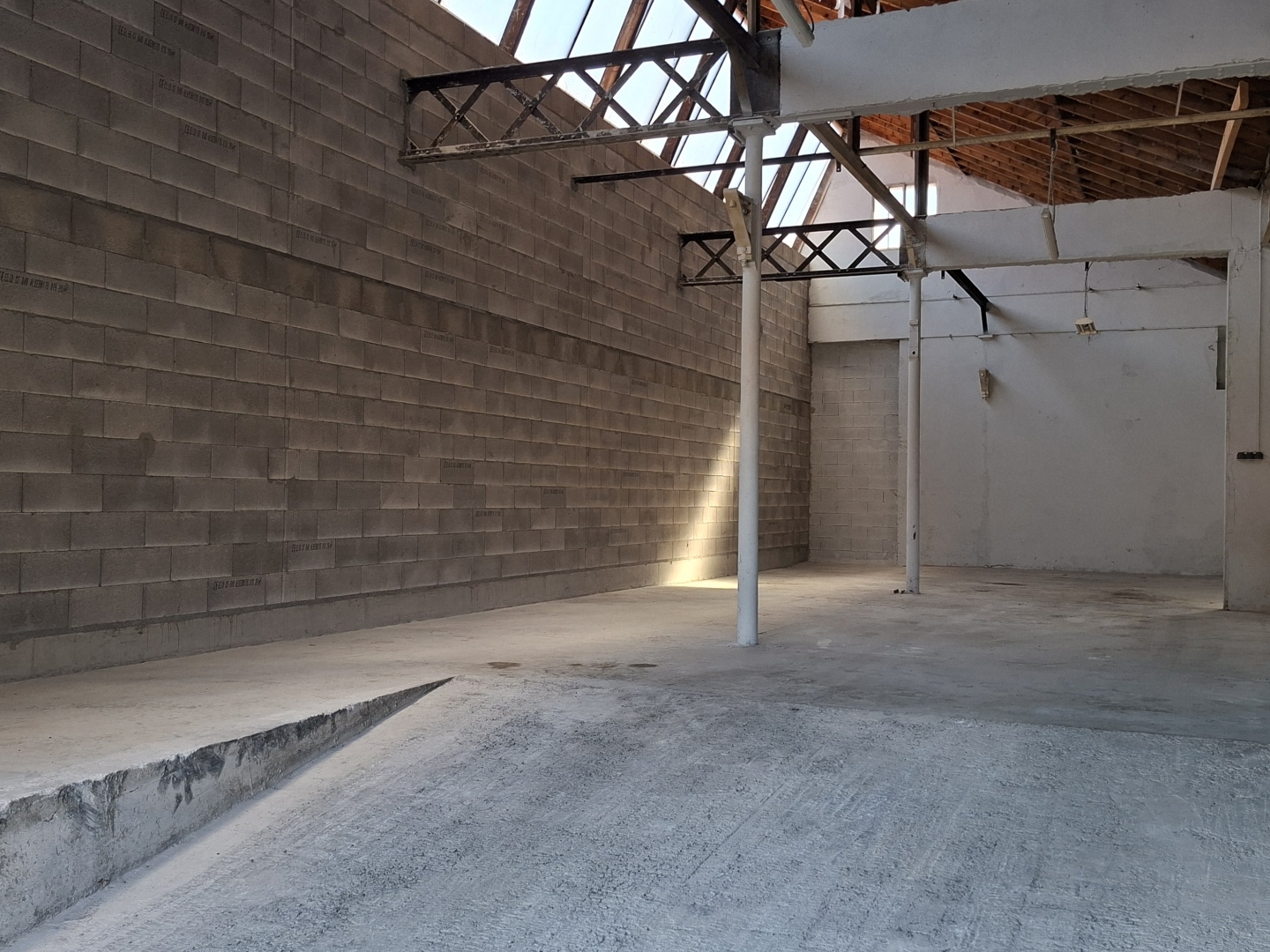 Locaux à vendre - 3 pièces - 230m2 - Bévenais (38690)