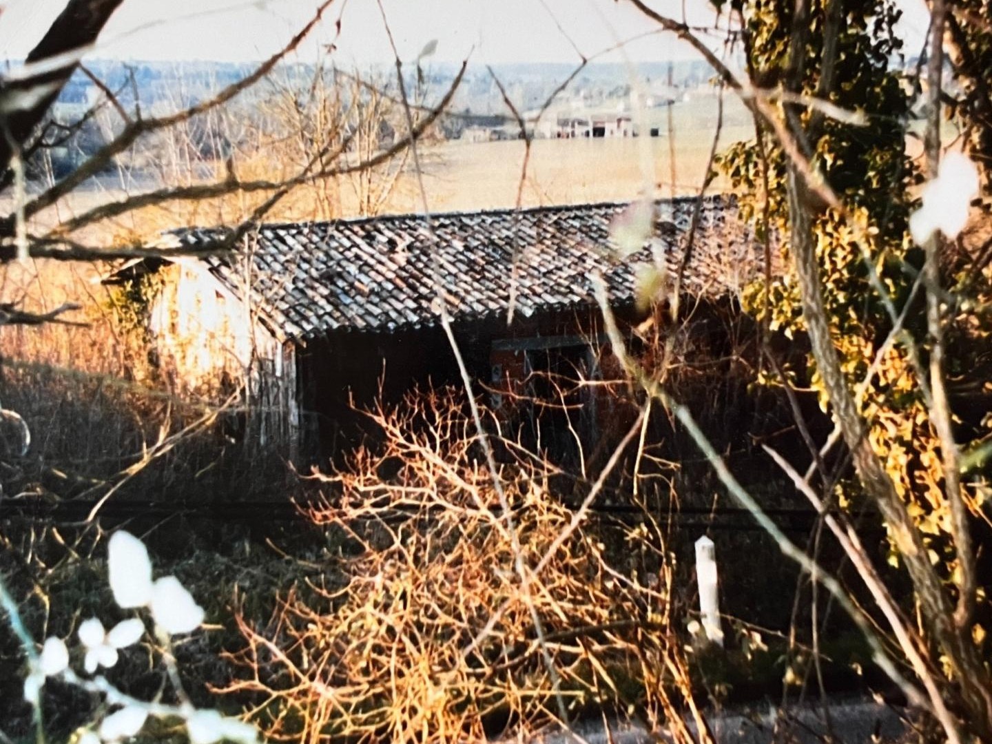 terrain constructible atypique proche de la Nature de 2097 m2 dont 495 m2 constructible