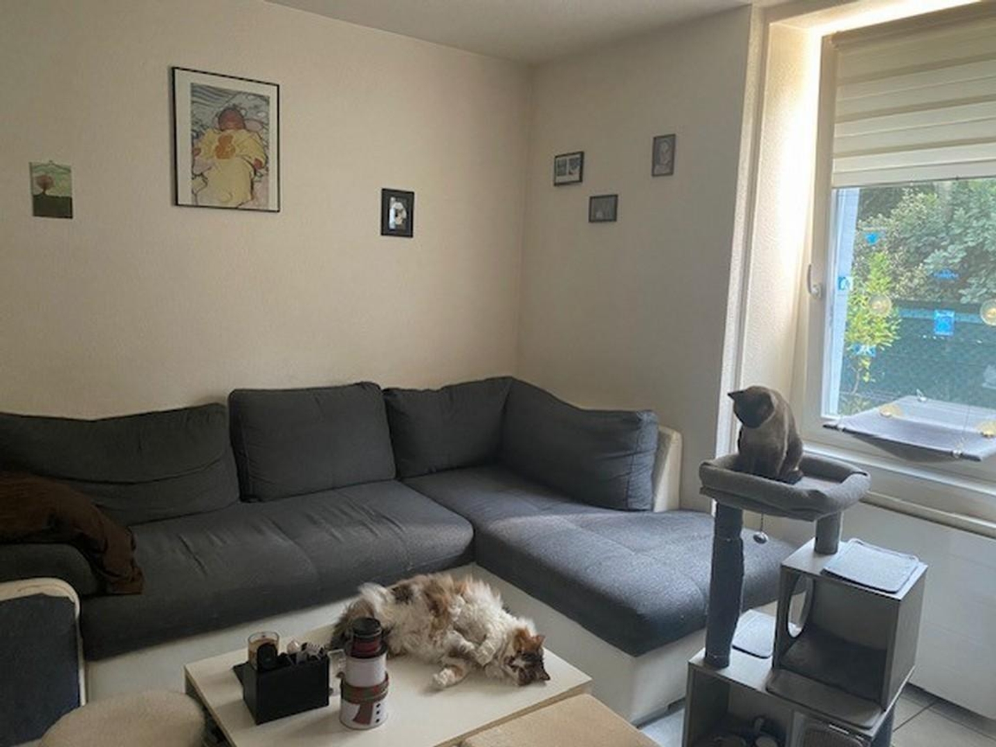 Immeuble à vendre - 8 pièces - 125m2 - Guebwiller (68500)