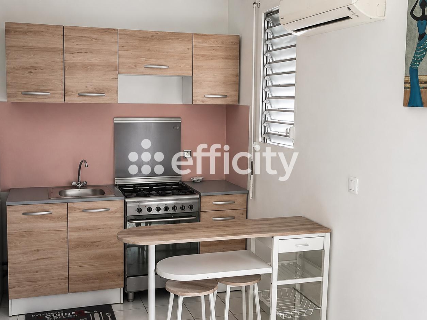 Appartement 1 pièce 20 m²