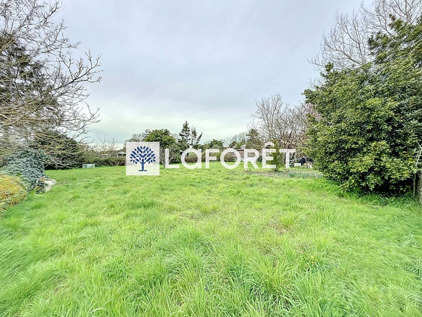 Terrain 923 m²