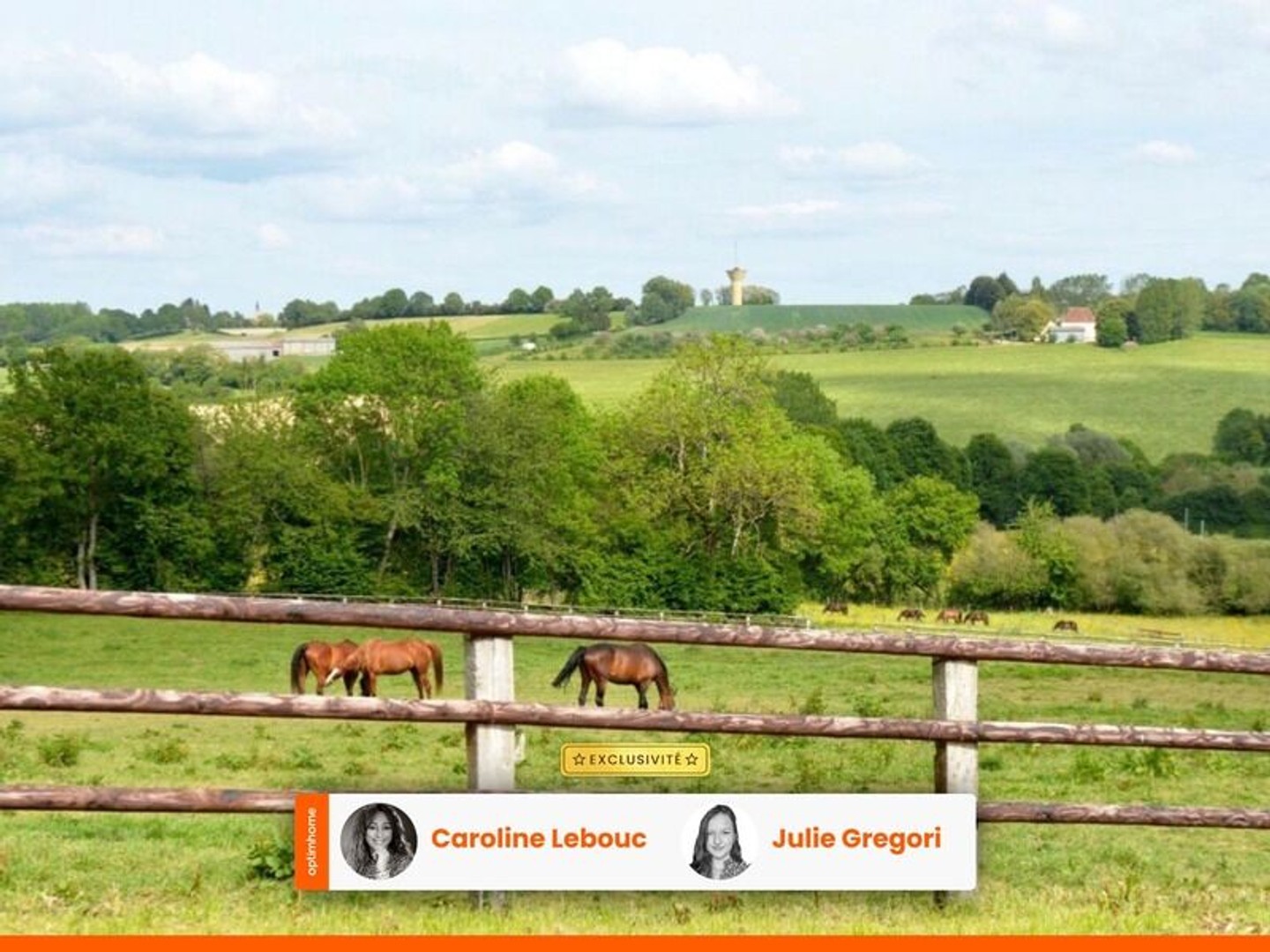 Propriété équestre professionnelle d'exception - Perche