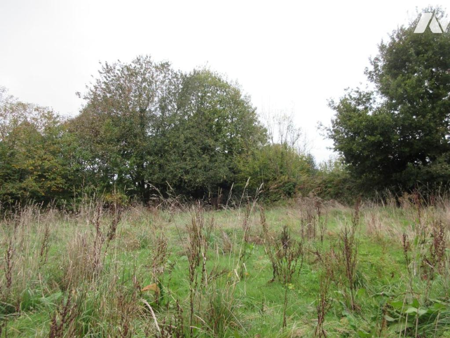 Terrain à vendre - 1299m2 - Grand-Champ (56390)