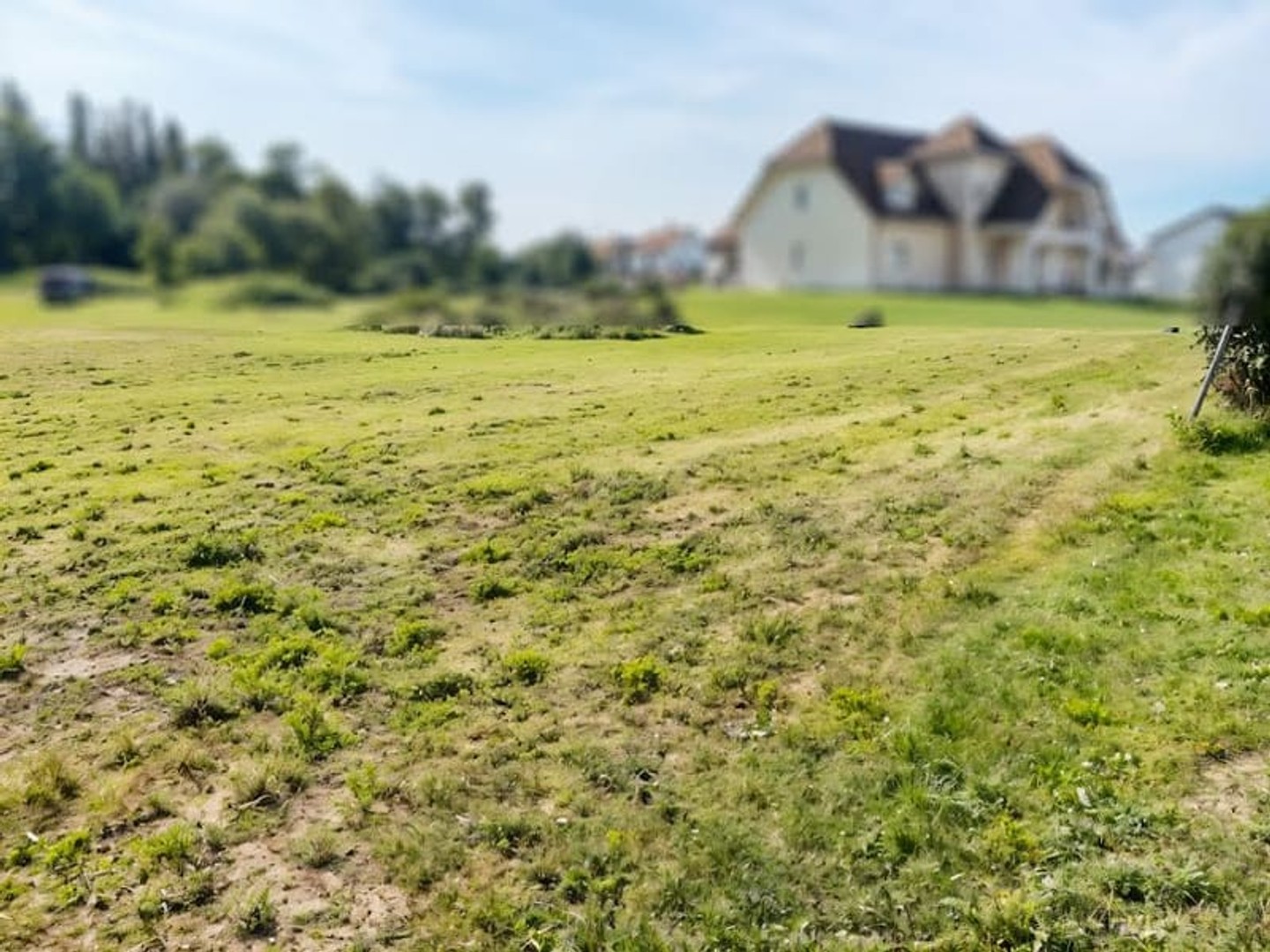 Terrain 2599 m²