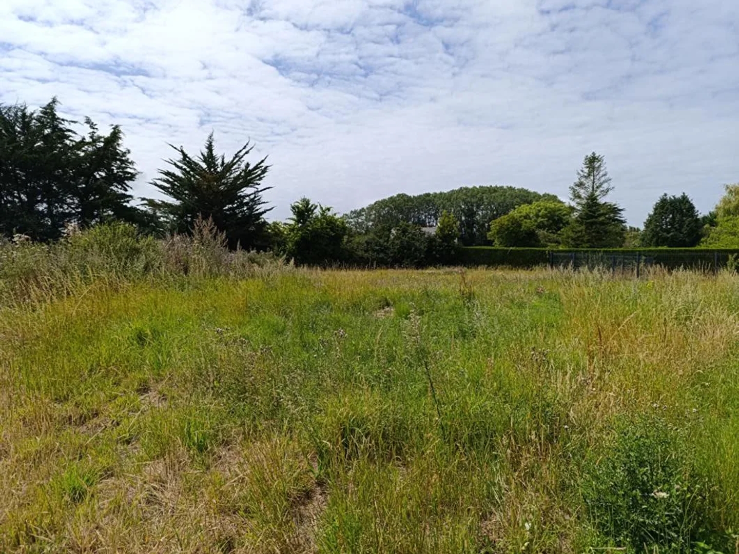 Terrain 1200 m²