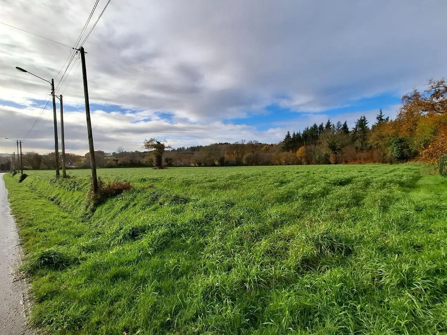 Terrain à bâtir 4893 m²