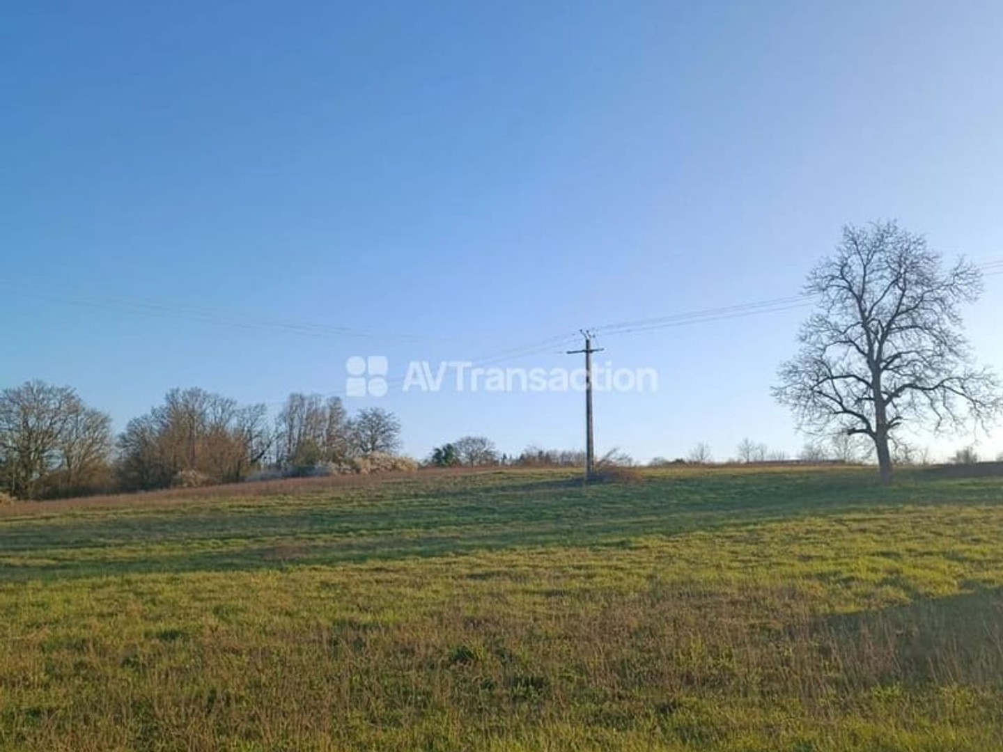TERRAIN A VENDRE