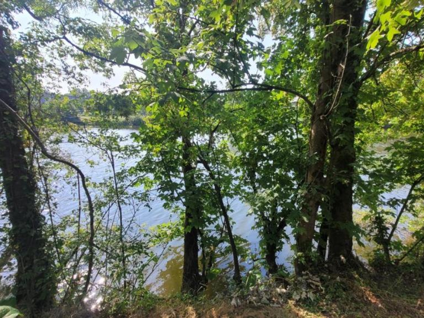 Maison à vendre - 5 pièces - 100m2 - Sablé-Sur-Sarthe (72300)
