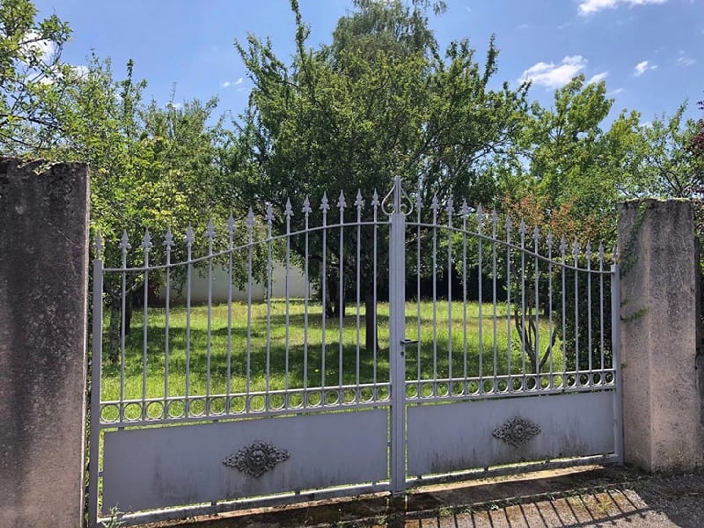 Terrain 556 m²