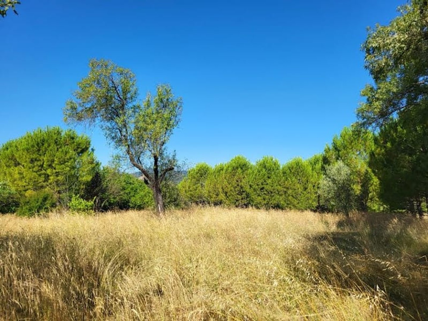 Terrain 1300 m²