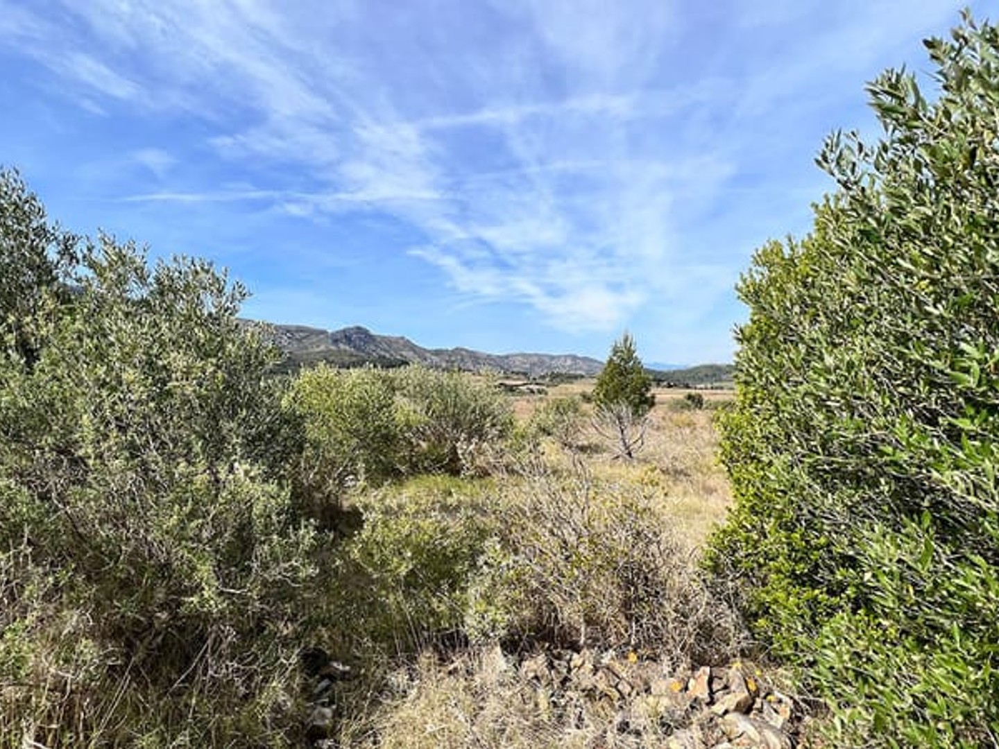 Terrain à vendre - 288m2 - Cases-De-Pène (66600)