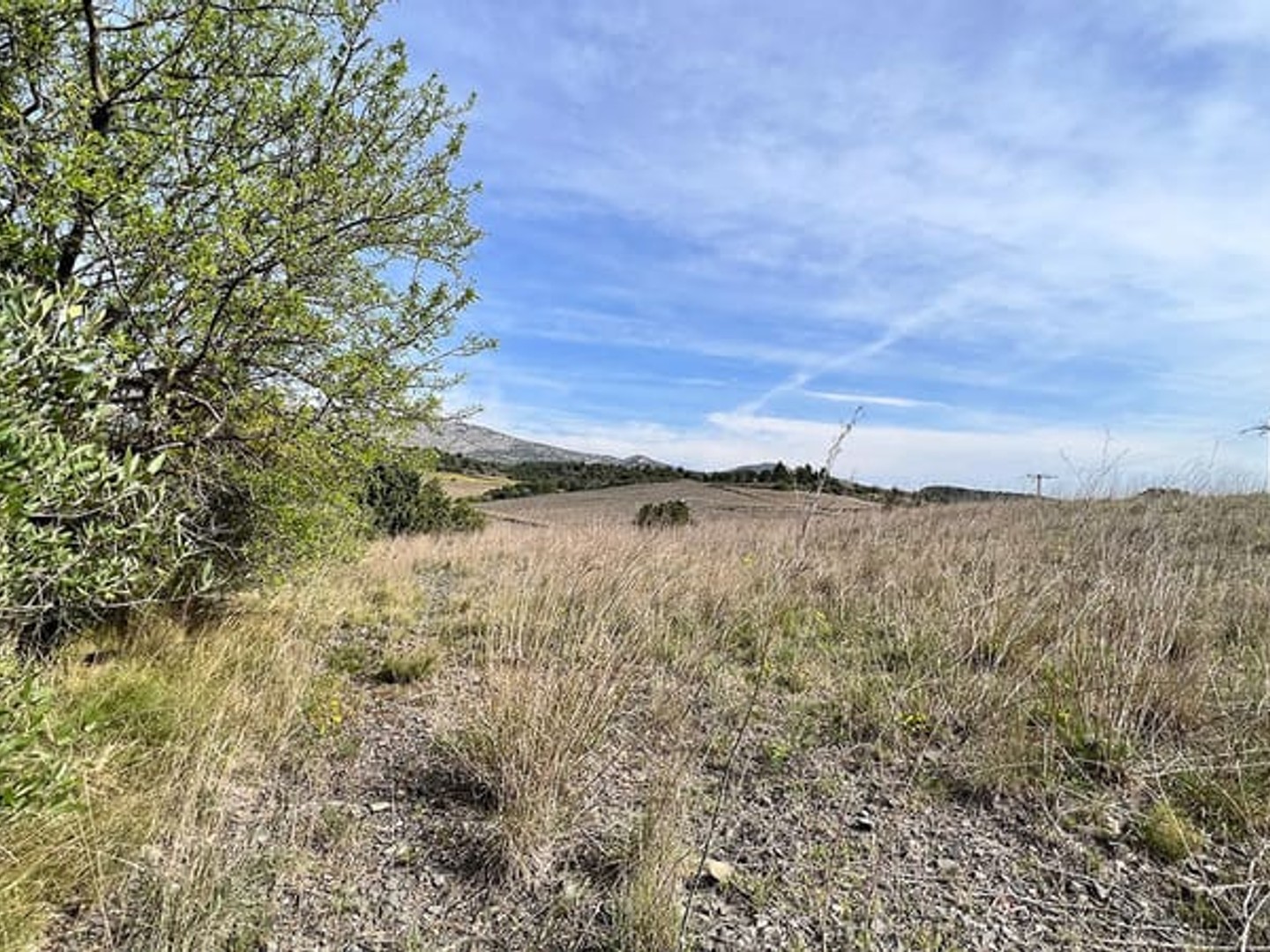 Terrain à vendre - 288m2 - Cases-De-Pène (66600)