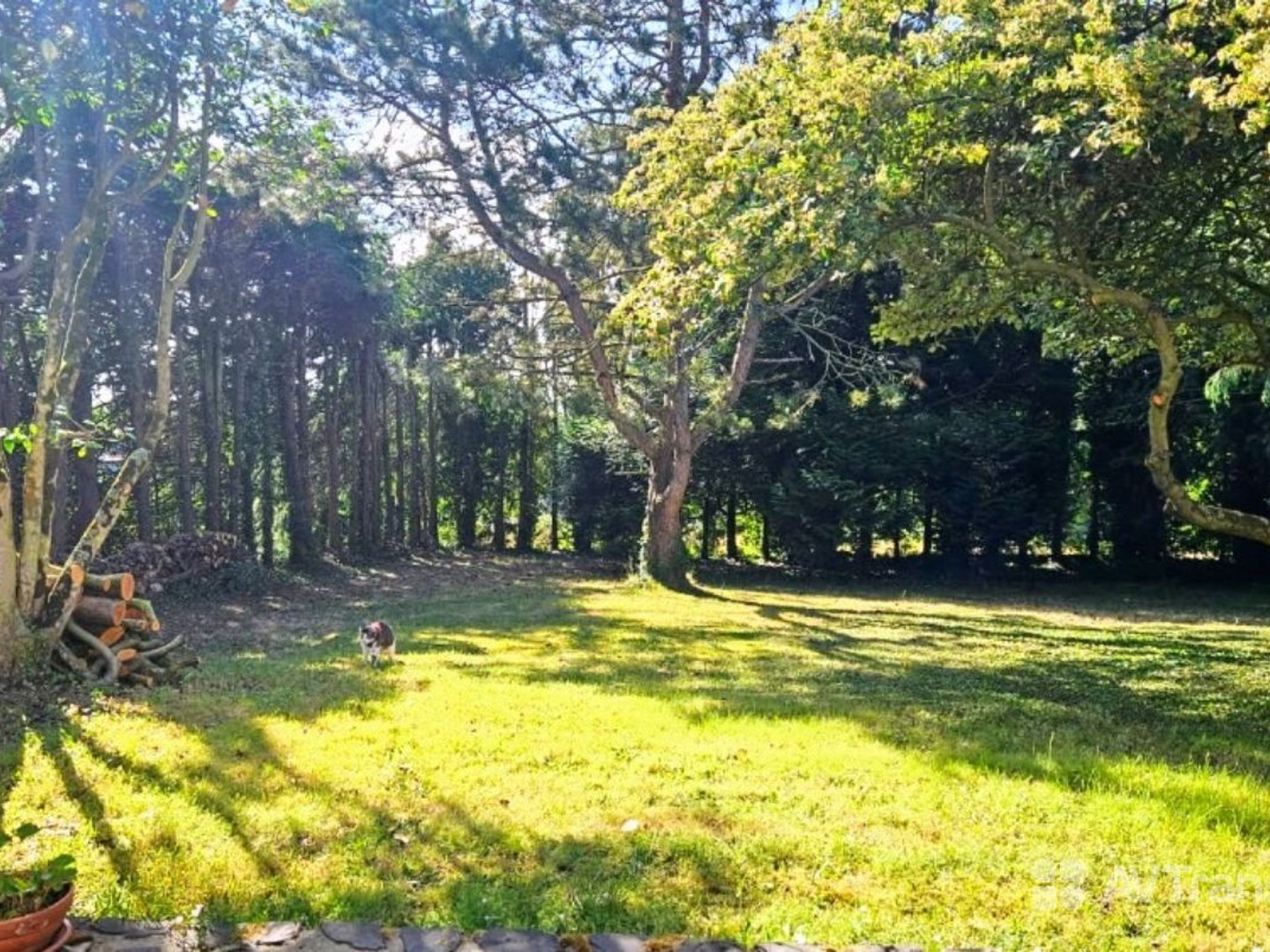 Maison à vendre - 6 pièces - 124m2 - Lantic (22410)