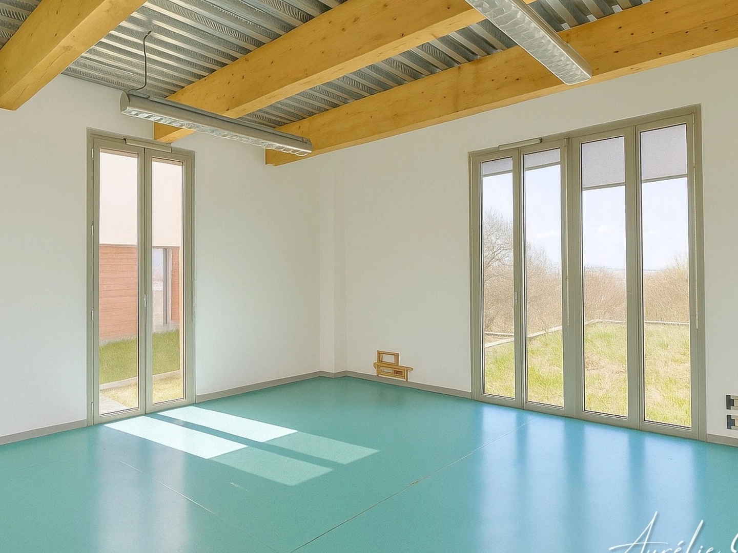 Magasin à vendre - 10 pièces - 225m2 - Panazol (87350)