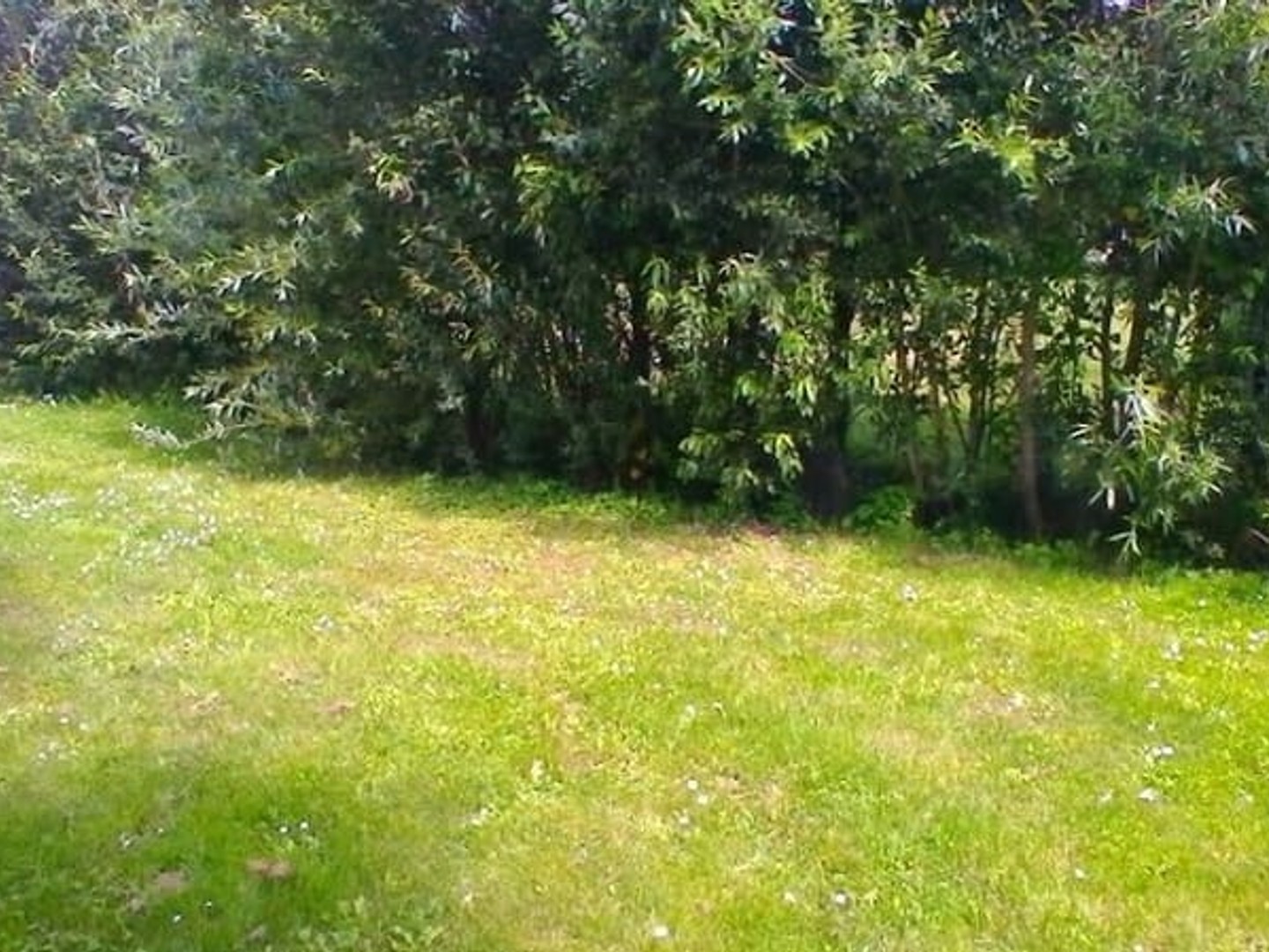 Terrain 410 m²