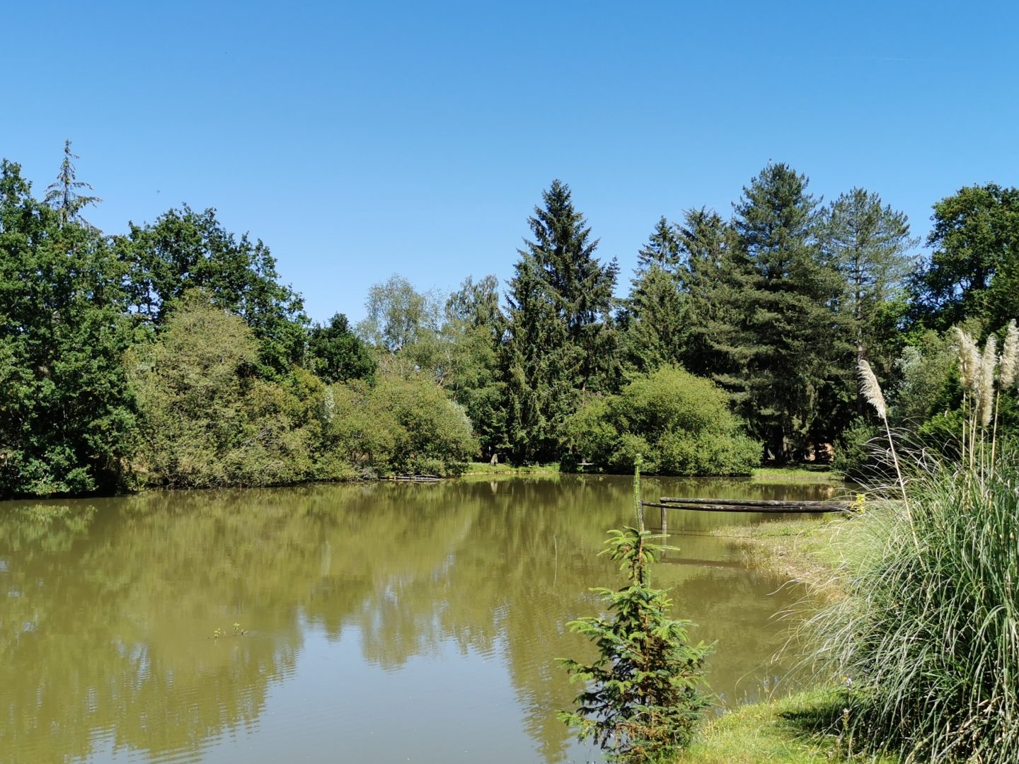 Terrain en individuel 3500 m²