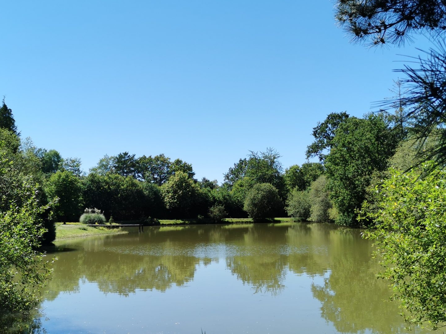Terrain à vendre - 3500m2 - Combourg (35270)