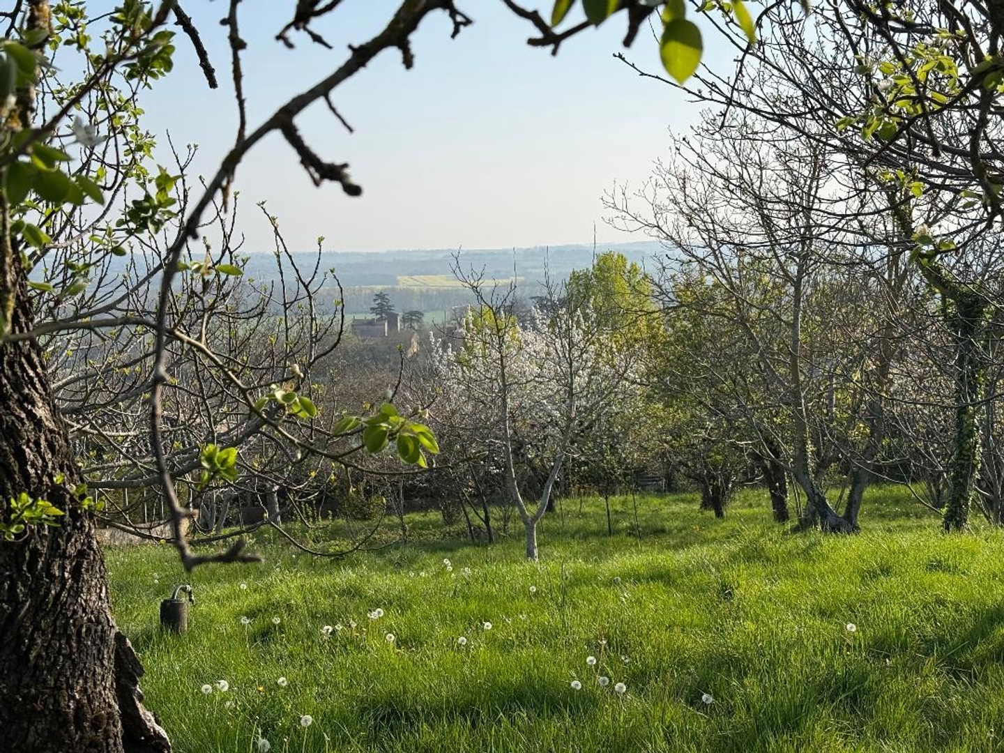 Terrain constructible 1500 m²