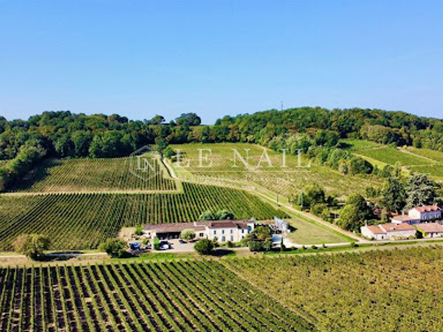 Vignoble 270 m²
