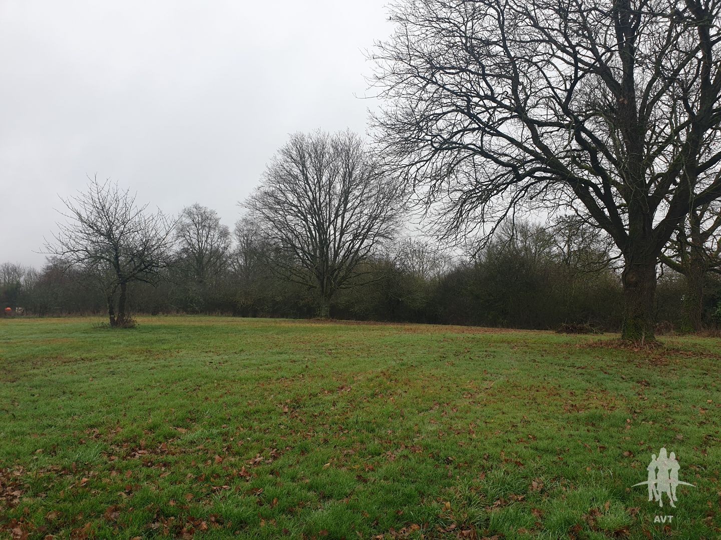 Terrain à vendre - 2651m2 - Auzouer-En-Touraine (37110)