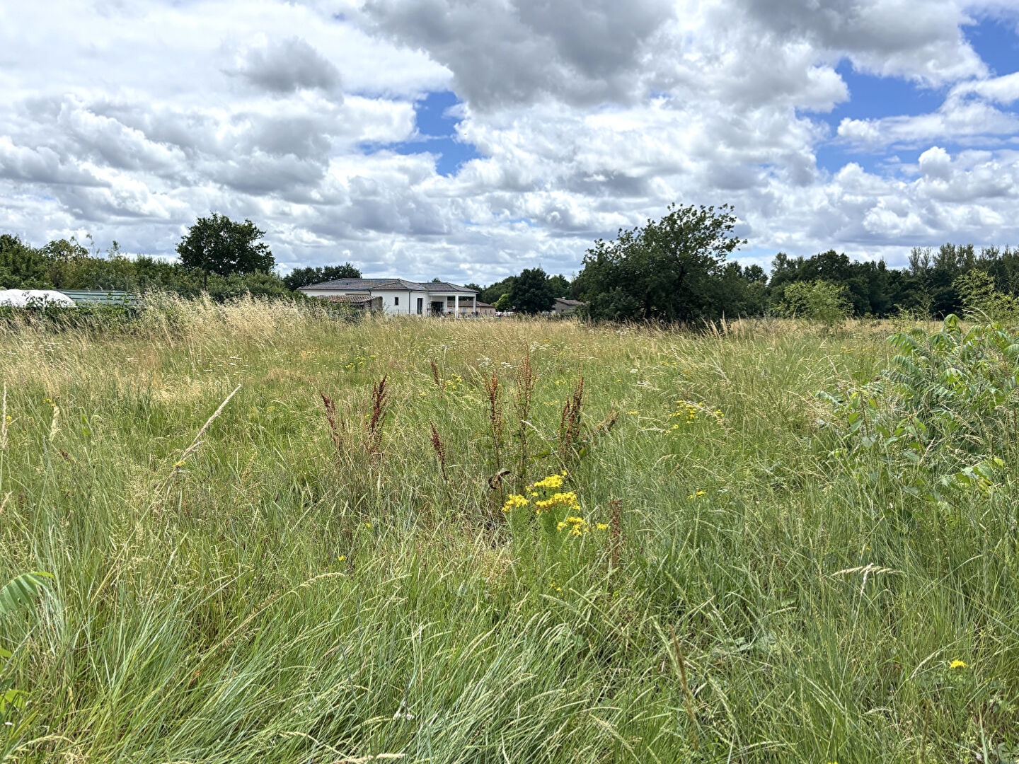 Terrain à vendre - 826m2 - Montauban (82000)