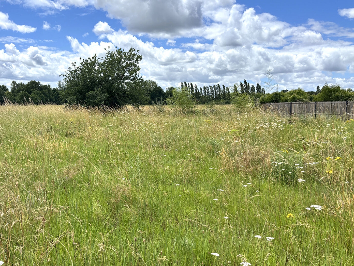 Terrain à vendre - 826m2 - Montauban (82000)