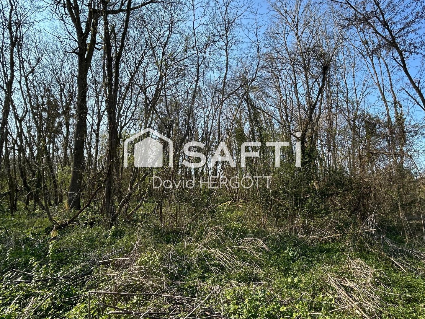 Terrain de loisir boisé - 777 m² - Tavers (45190)