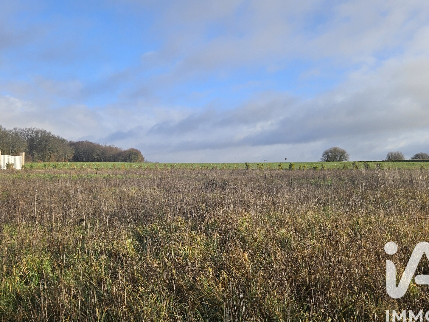 Terrain 1295 m²