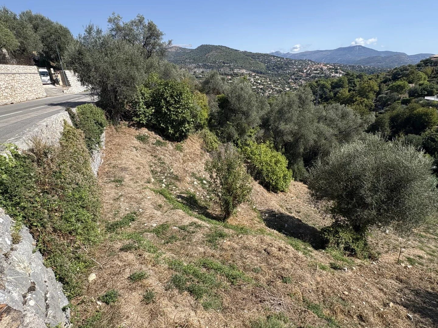 Falicon Terrain Avec Permis purgé