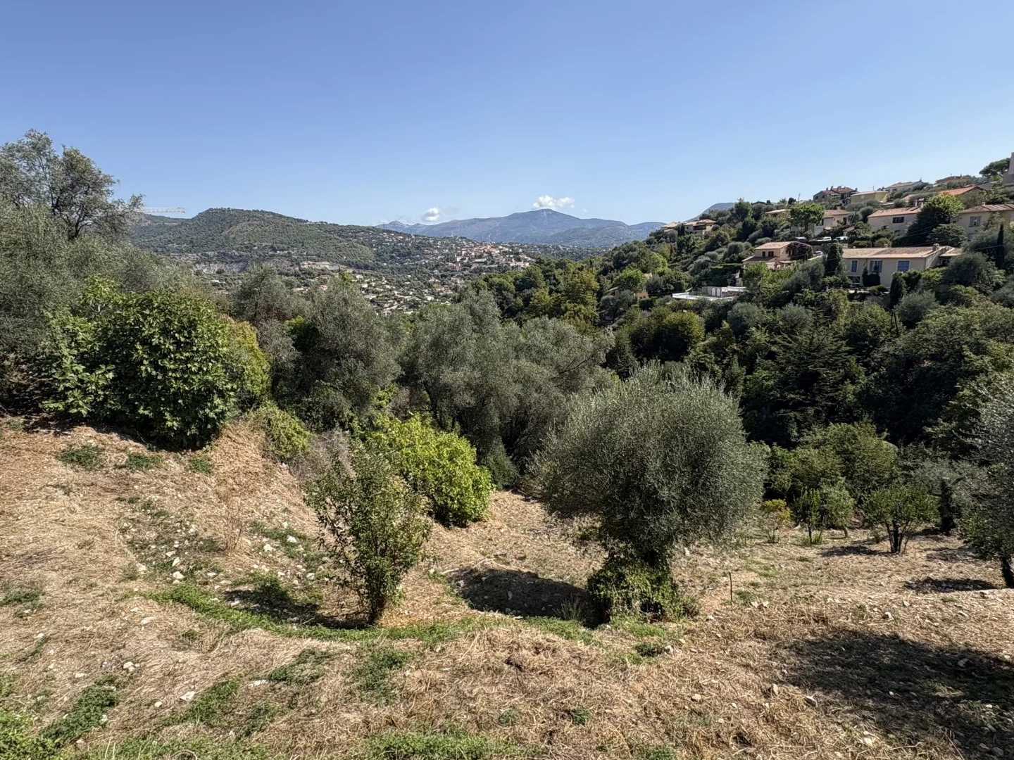 Terrain à vendre - 1911m2 - Falicon (06950)