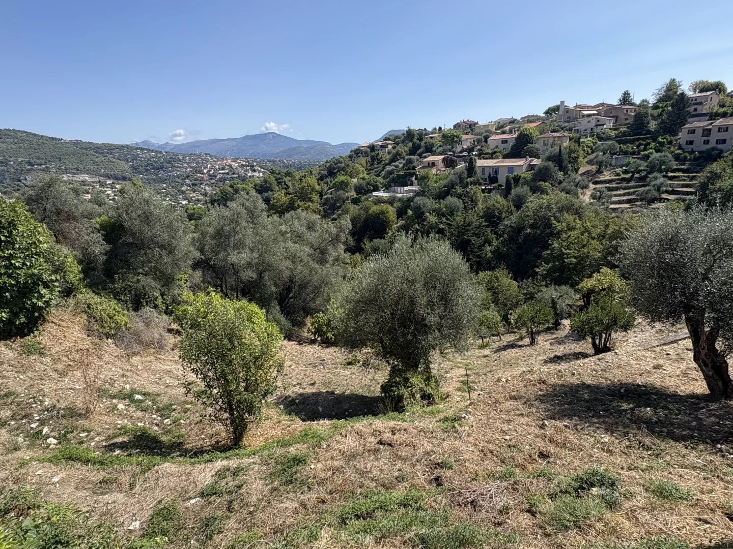 Terrain à vendre - 1911m2 - Falicon (06950)