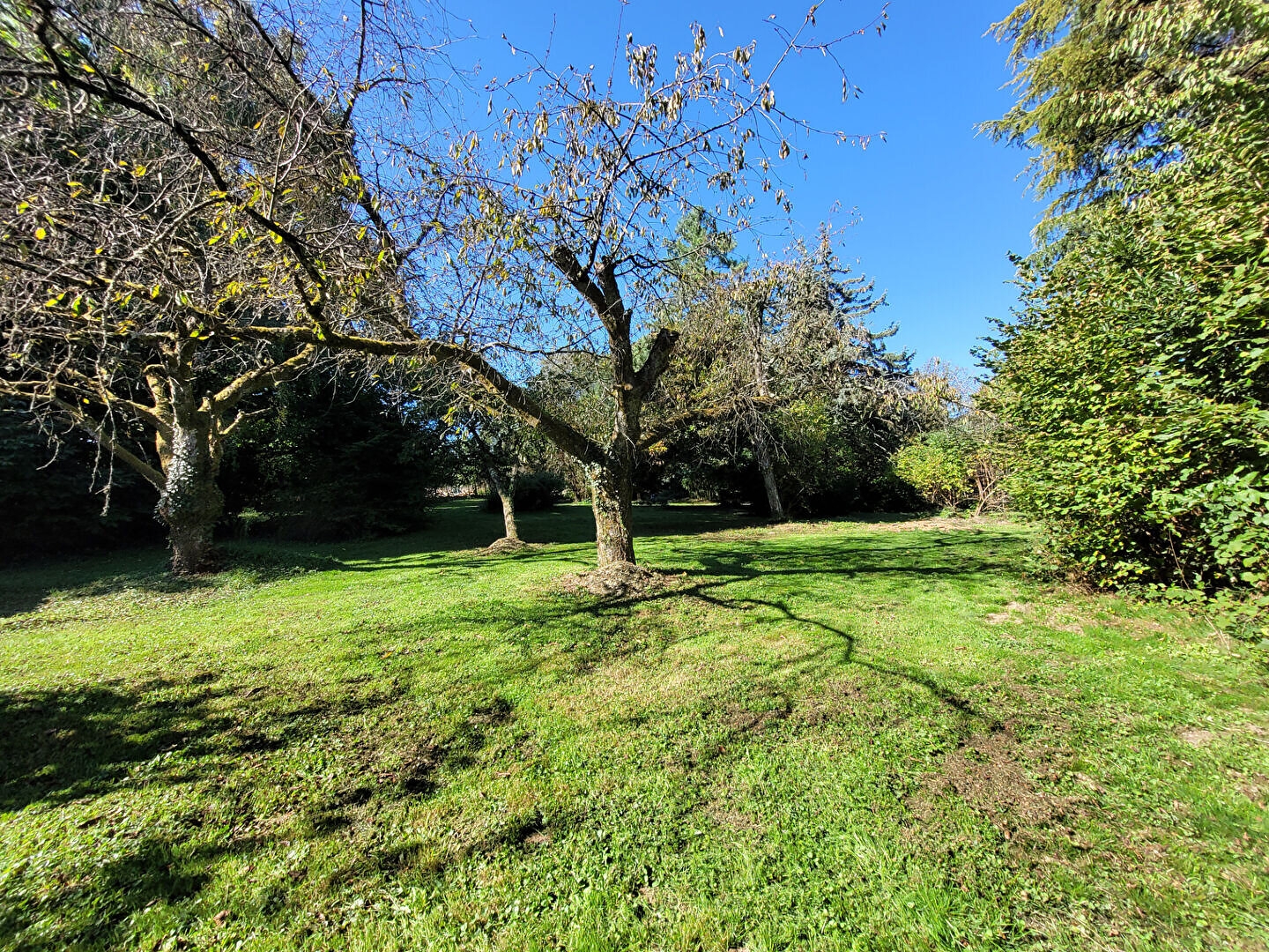 Maison à vendre - 5 pièces - 120m2 - Corbelin (38630)