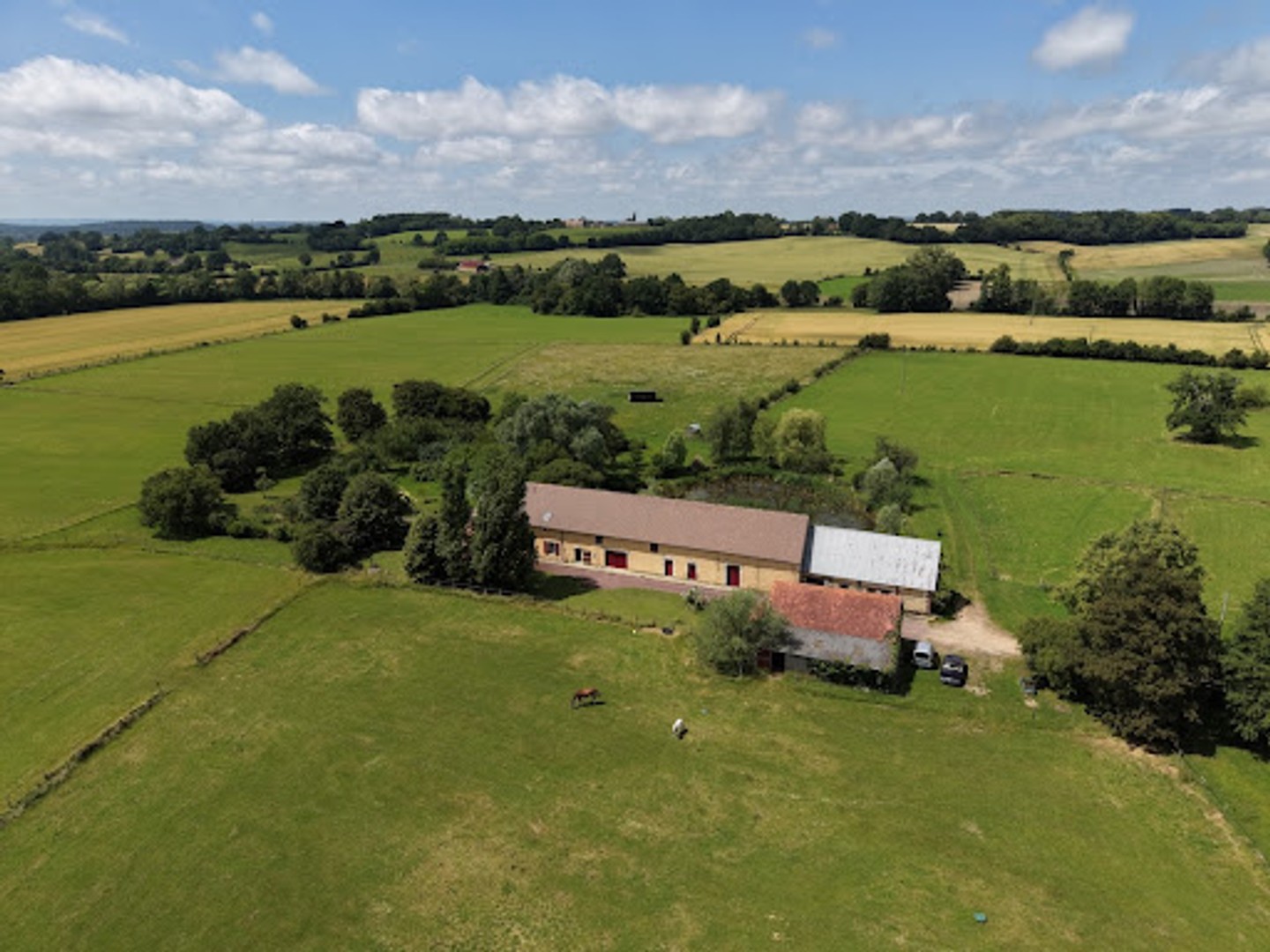 Maison à vendre - 120000m2 - Mortagne-Au-Perche (61400)